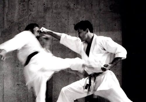 Cover Photo for Three Stripes & Black Belts: Yohji Yamamoto's Love For Martial Arts by ArtV.